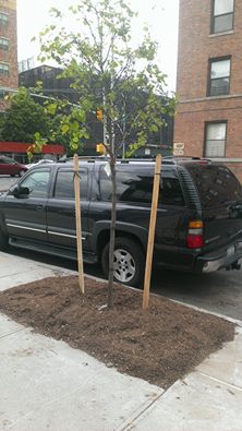 10362359_10152447961749785_4173776993734163724_n